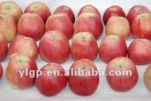 red star apple - product's photo