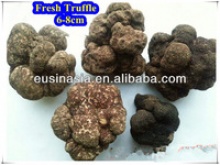 fresh white tuber indicum truffle - product's photo