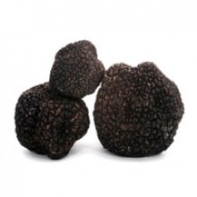 truffles mushroom/fresh black truffle - product's photo