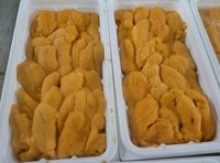 sea urchin roes - uni - product's photo