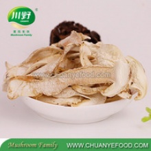 100% natural organic tricholoma matsutake mushroom slice from yunnan - product's photo