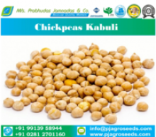 natural chickpeas - kabuli - product's photo