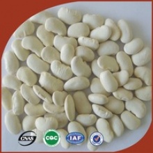 high quality pure white kidney bean prices - product's photo