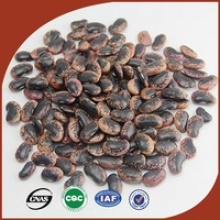 dark red speckled kidney beans supply all variety beans - product's photo