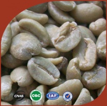 unroasted coffee beans - product's photo