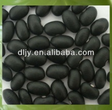 black kidney bean,black bean,bean factory - product's photo