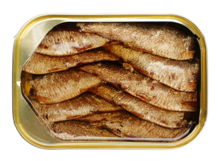  canned sardine in vegetable oil - product's photo