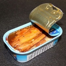 canned tuna in fish - product's photo
