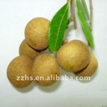 canned longan in heavy syrup - product's photo