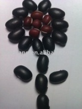 chinese small black kidney bean - product's photo