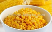 fresh canned sweet corn - product's photo