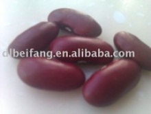 dark red kidney bean( 2013 crop, heilongjiang origin, hps) - product's photo