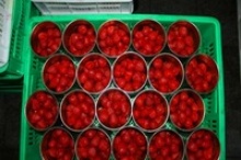 canned strawberry - product's photo