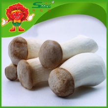 artificial cultivated coprinus edible fresh mushroom - product's photo