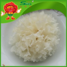 chinese supplier of mushrooms dried snow white fungus - product's photo