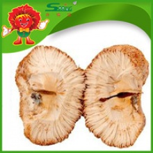 dried hericium erinaceus mushroom wholesale - product's photo