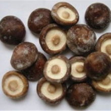 frozen shiitake mushrooms high quality - product's photo