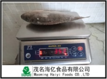 300-500g frozen tilapia fish - product's photo