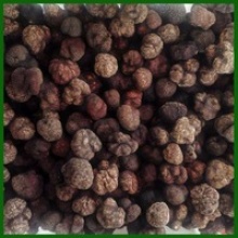 new crop 100% wild mushroom black truffle - product's photo