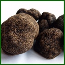 new crop 4-8cm fresh black tuber indicum truffle - product's photo