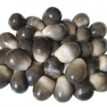 100% frozen straw mushroom from thailand - product's photo
