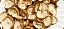 2016 quality dried mushroom - product's photo