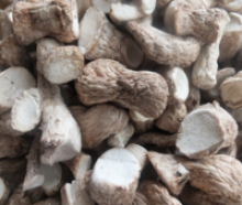 bulk dried mushroom stem from china - product's photo