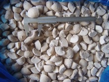iqf frozen white mushroom / frozen champignon - product's photo