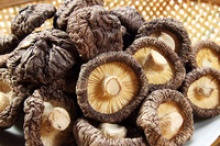 bulk dired shiitake mushrooms - product's photo