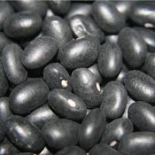 black kidney beans with good quality - product's photo