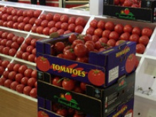 turkish tomato - product's photo
