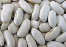 kirgiz origin kidney beans - product's photo