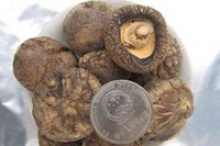dried shiitake mushrooms cheap price - product's photo