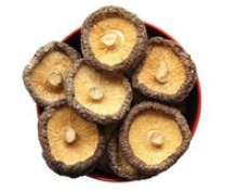 sell dried shiitake mushrooms - product's photo