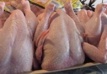 halal whole frozen chicken - product's photo