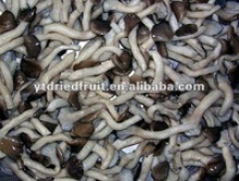 salted shimeji mushroom in brine - product's photo
