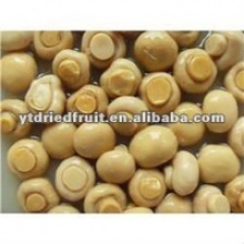 salted white button mushroom in brine - product's photo