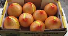 honey pomelo fruits - product's photo