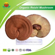 eu organic reishi mushoom - product's photo