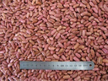 light red kidney beans  - product's photo