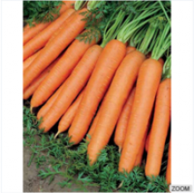 gizmar ozel egitim carrots - product's photo