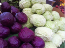 gizmar ozel egitim cabbage - product's photo
