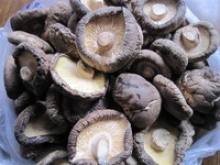 exported dried shiitake mushroom smooth - product's photo