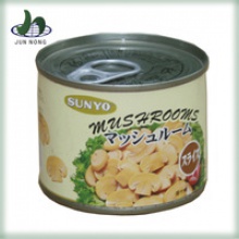 canned mushroom - product's photo