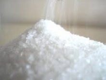 cheap sugar for sale - product's photo