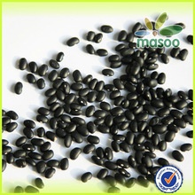 chinese black kidney bean - product's photo