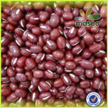 china adzuki bean/ small red beans - product's photo