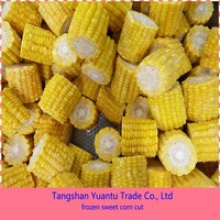 sweet corn - product's photo