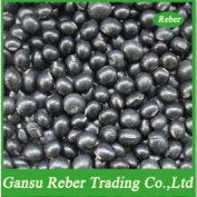 small black kidney beans with green kernel - product's photo