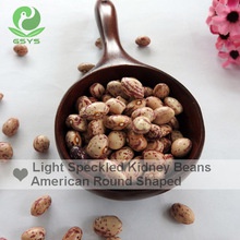 cranberry beans light speckled kidney beans oval shape - product's photo